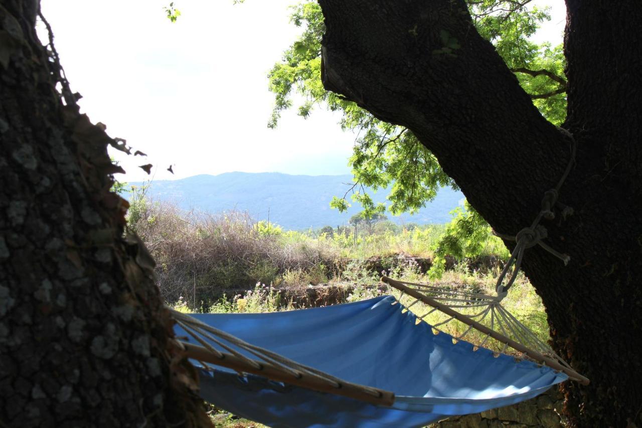 Etna Tra Le Querce Villa Santa Venerina Exterior photo