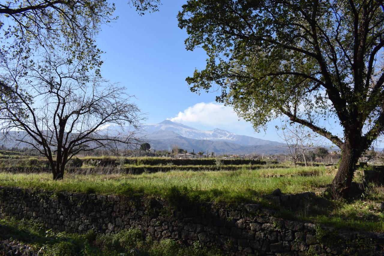 Etna Tra Le Querce Villa Santa Venerina Exterior photo